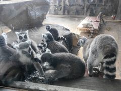 -鄂尔多斯野生动物园