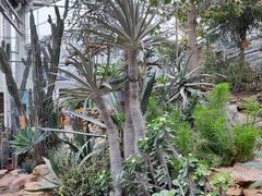 -国家植物园南园