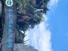 -苍山感通索道