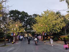 -东西巷