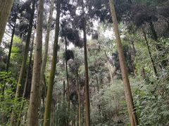 -青城山