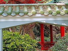 -中山公园