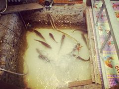 -百一大地锅(香福路店)