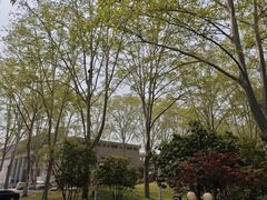 -河南省黄河迎宾馆