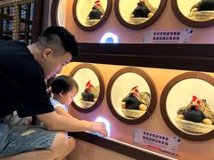 -杭州开元森泊度假乐园