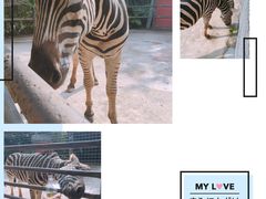 -三亚千古情景区游客中心-接待中心