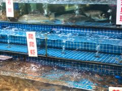 -渔人湾码头海鲜市场负二楼