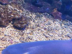 -海合安武汉极地海洋公园