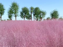 -汉长安城未央宫国家考古遗址公园