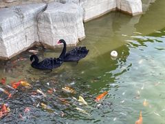 -泉城欧乐堡梦幻世界