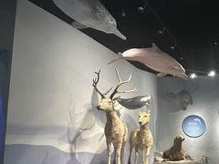 -中国湿地博物馆