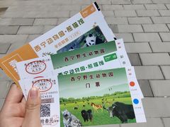 -青藏高原野生动物园