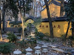 -灵谷景区