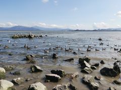 -深圳湾公园(南山区)