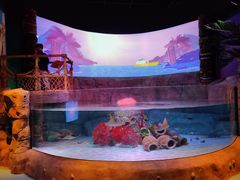 -沈阳海洋探索中心