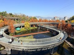 -福道