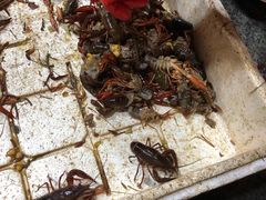 花甲-青石桥市场北1-27号