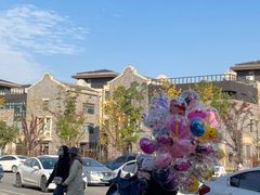 -Mammamia意大利餐厅(阳春巷店)