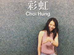 -彩虹村
