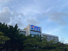 -顺德火焰醉鹅坊(珠海店)