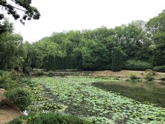 -棒棰岛宾馆景区