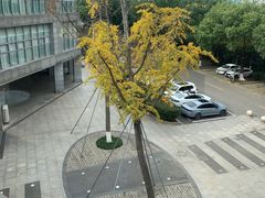 -汀兰酒店-中餐厅