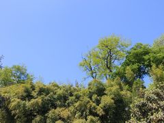 -烟台山景区