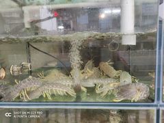 -凯华海鲜火锅·传承三十六年