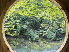 -关门山森林公园