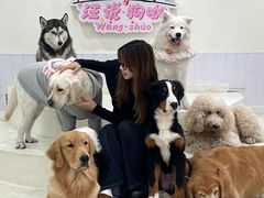 -汪说·狗咖·拼豆·宠物周边DIY(旺城大厦店)