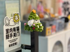 -有喵·猫咖·狗咖·30几只猫10只小狗(岗厦店)