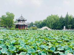 -莲池书院博物馆