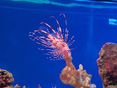-秦皇岛新澳海底世界