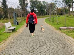 -上海海湾国家森林公园