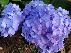 -常州古运河南大街文化旅游区-人民公园