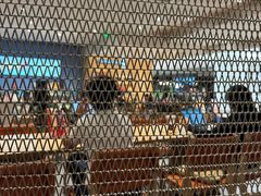 -星巴克臻选(沈阳万象城店)