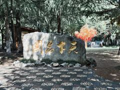 -水绘园