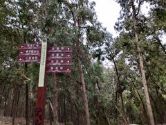 -云龙山