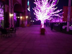 -廊坊固安福朋喜来登酒店