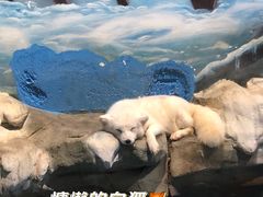 -顺德南宏海立方海洋公园