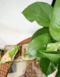 点击看大图 -Dr.林醫生产后修复·配方产康店(南京大厂店)
