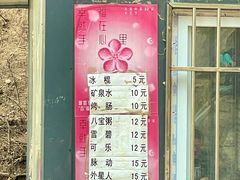 -北京凤凰岭