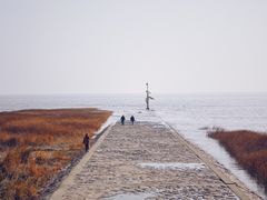 -南汇嘴观海公园