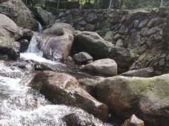 -白云源风景区