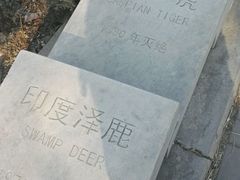 -北京麋鹿生态实验中心