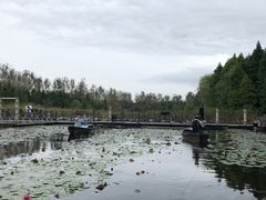 -溱湖国家湿地公园