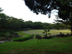 DSC_7487-汉拿树木园