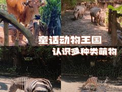 -长鹿旅游休博园