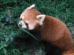 -杭州少年儿童公园
