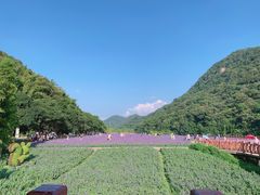 -广州市石门国家森林公园